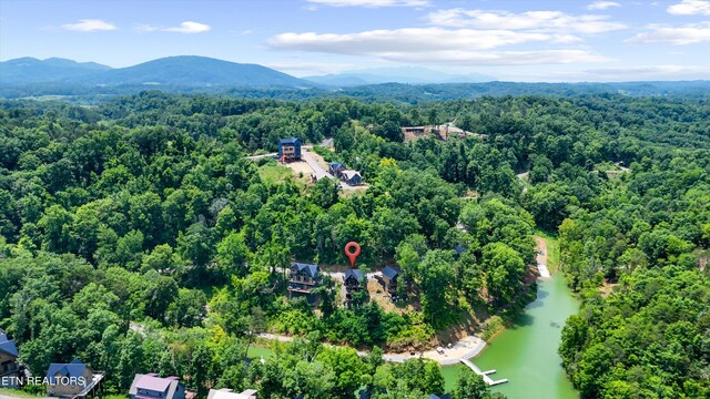 130 Jolene Way, Sevierville, TN 37876 - photo 41