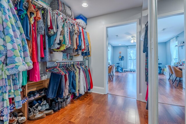 walk in closet featuring wood finished floors