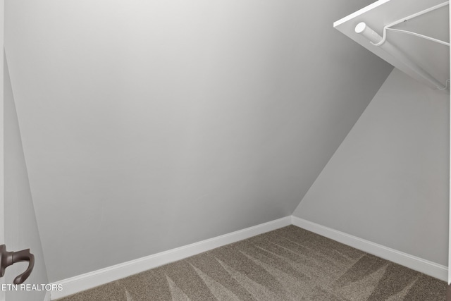 spacious closet featuring carpet floors