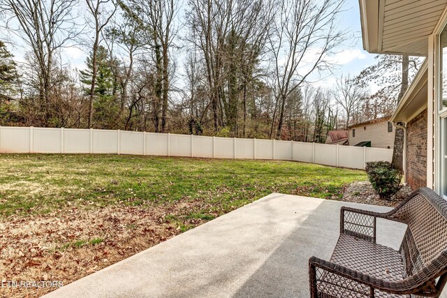 view of yard featuring a patio area and a fenced backyard