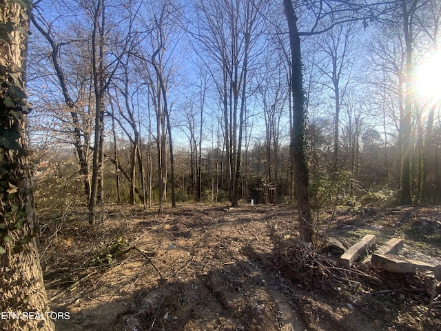 view of nature featuring a wooded view