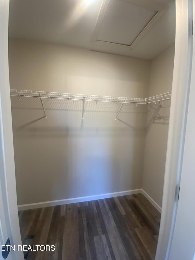 spacious closet featuring attic access and wood finished floors