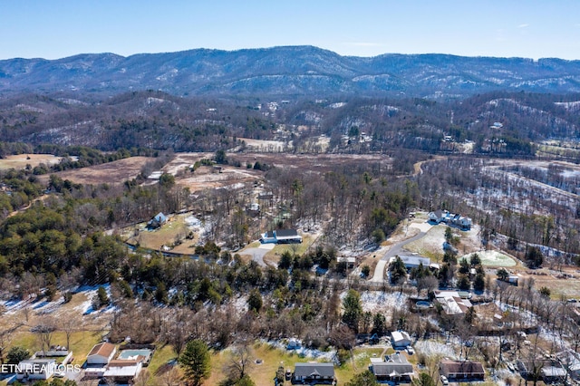 drone / aerial view featuring a mountain view