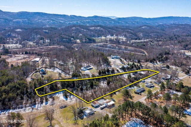 aerial view with a mountain view