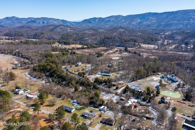 birds eye view of property featuring a mountain view