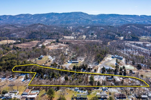 birds eye view of property with a mountain view