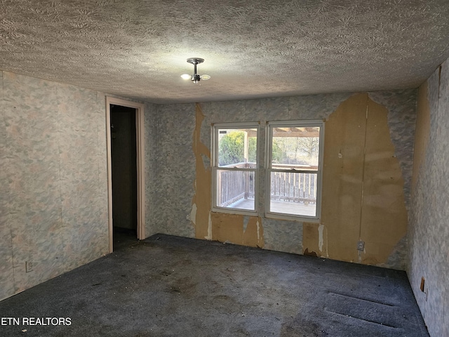 empty room with carpet and a textured ceiling