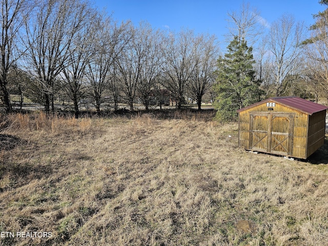 view of yard with an outdoor structure and a storage shed