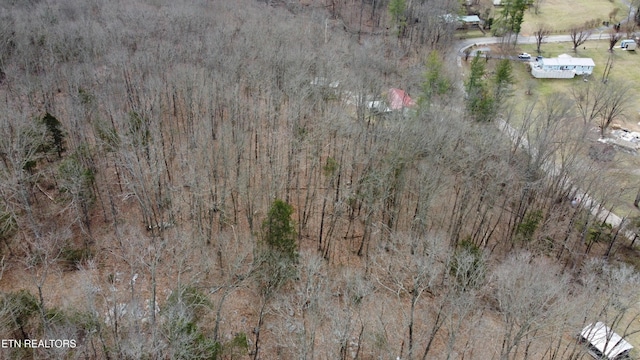 Burton Rd, Sparta, TN 38583 - photo 1