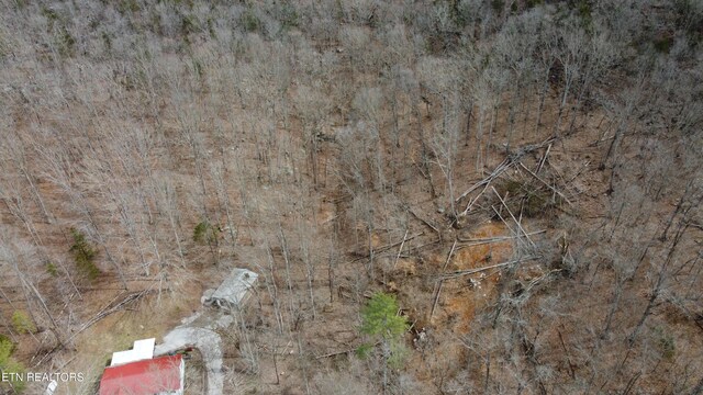 Burton Rd, Sparta, TN 38583 - photo 3