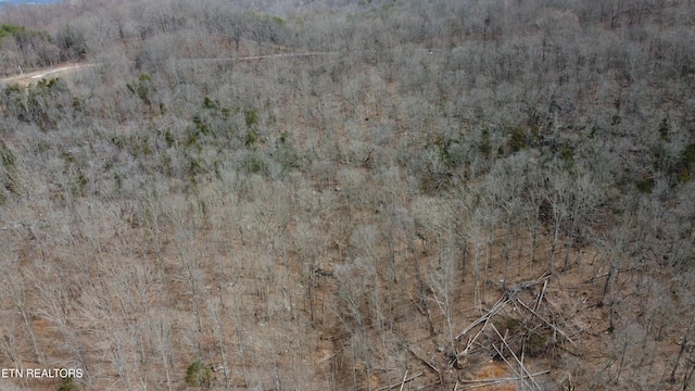 Burton Rd, Sparta, TN 38583 - photo 4