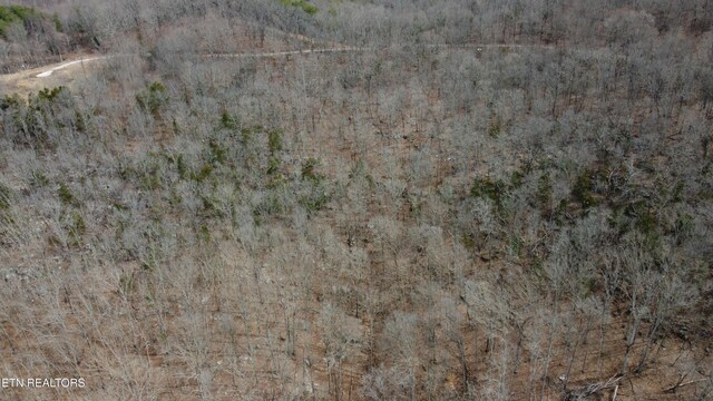 Burton Rd, Sparta, TN 38583 - photo 5