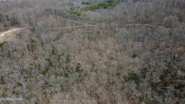 Burton Rd, Sparta, TN 38583 - photo 6