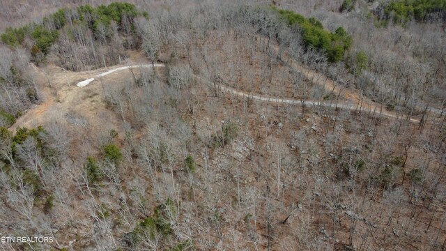 Burton Rd, Sparta, TN 38583 - photo 7