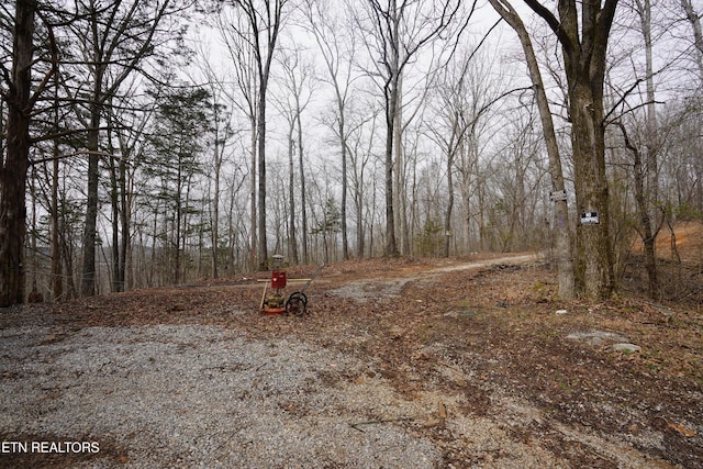 Burton Rd, Sparta, TN 38583 - photo 8