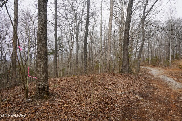 Burton Rd, Sparta, TN 38583 - photo 9