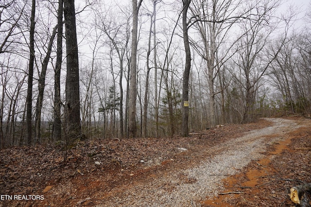 Burton Rd, Sparta, TN 38583 - photo 10