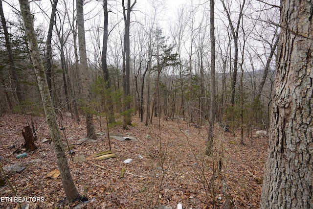 Burton Rd, Sparta, TN 38583 - photo 12
