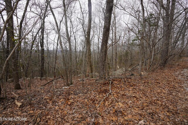 Burton Rd, Sparta, TN 38583 - photo 13