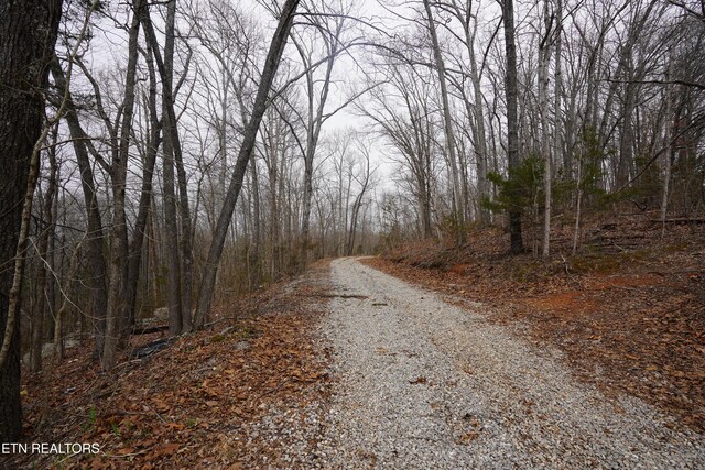 Burton Rd, Sparta, TN 38583 - photo 14