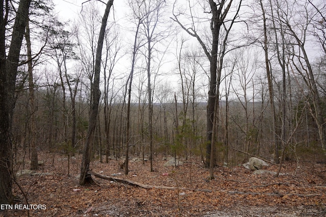 Burton Rd, Sparta, TN 38583 - photo 15