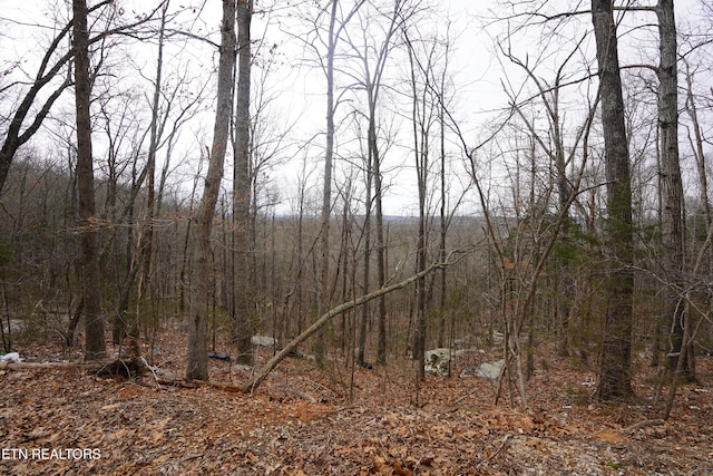 Burton Rd, Sparta, TN 38583 - photo 16