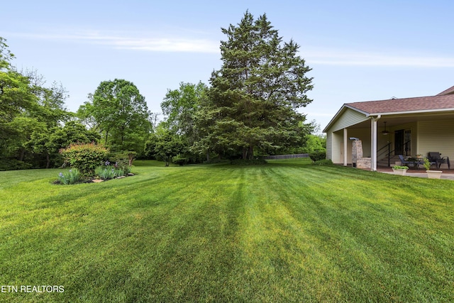 view of yard featuring a patio area