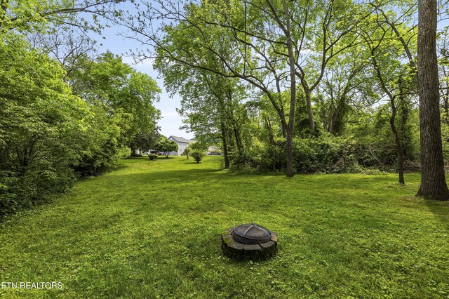 view of yard featuring a fire pit