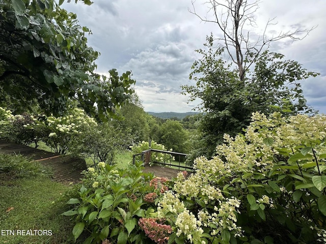 view of landscape