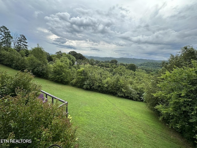 view of yard with a wooded view