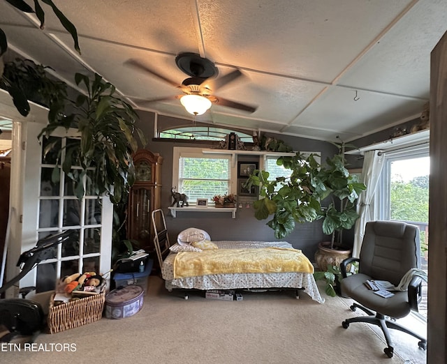 carpeted bedroom featuring a ceiling fan and multiple windows