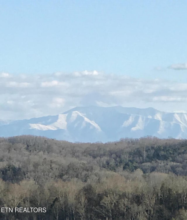 mountain view with a forest view