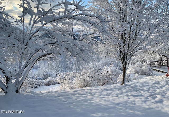 view of snowy yard