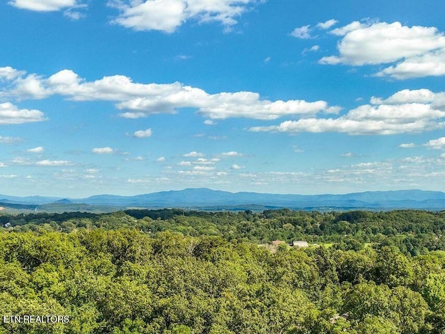 LOT21 Cobblestone Rdg, Cleveland, TN 37311 - photo 15