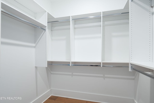 walk in closet featuring wood finished floors