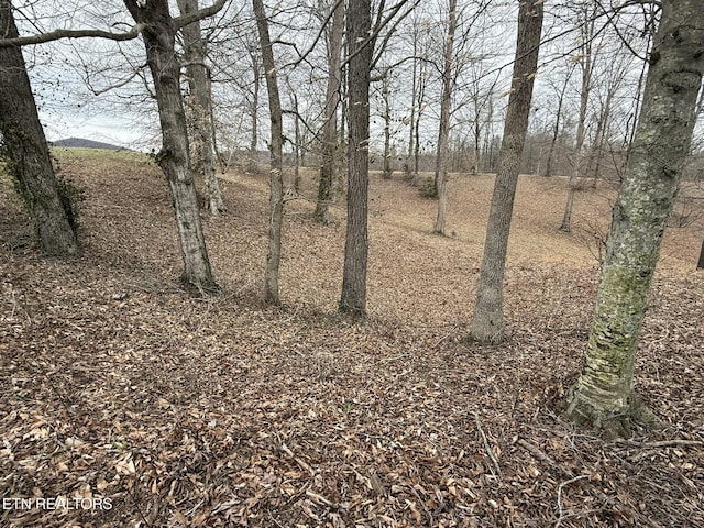 Listing photo 3 for LOT7 Amonett Rd, Byrdstown TN 38549