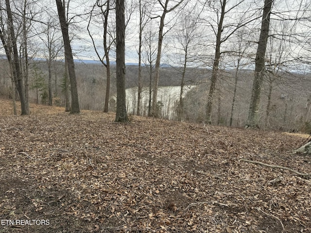 LOT7 Amonett Rd, Byrdstown TN, 38549 land for sale