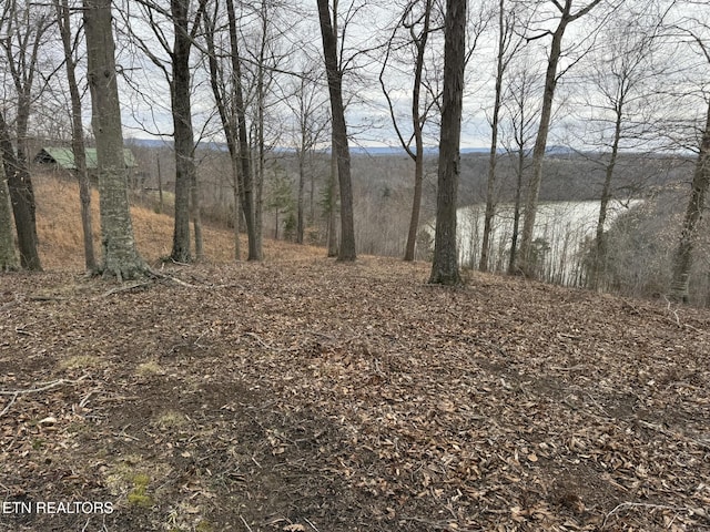 Listing photo 2 for LOT7 Amonett Rd, Byrdstown TN 38549