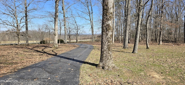 view of road