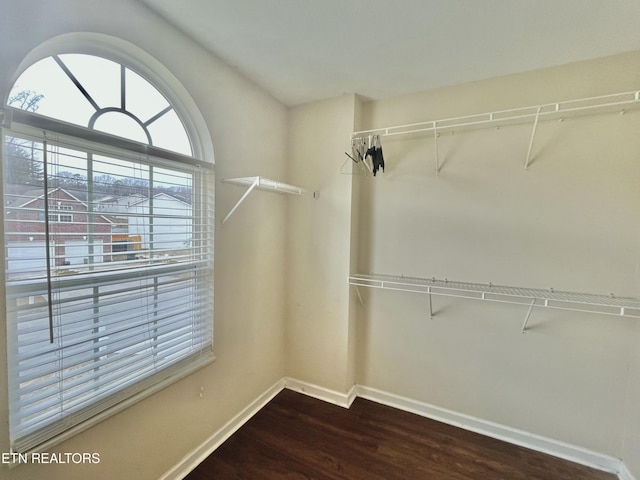 walk in closet featuring dark wood-style floors