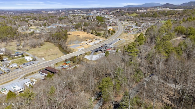 bird's eye view featuring a mountain view