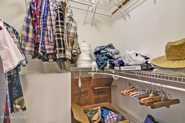 view of walk in closet