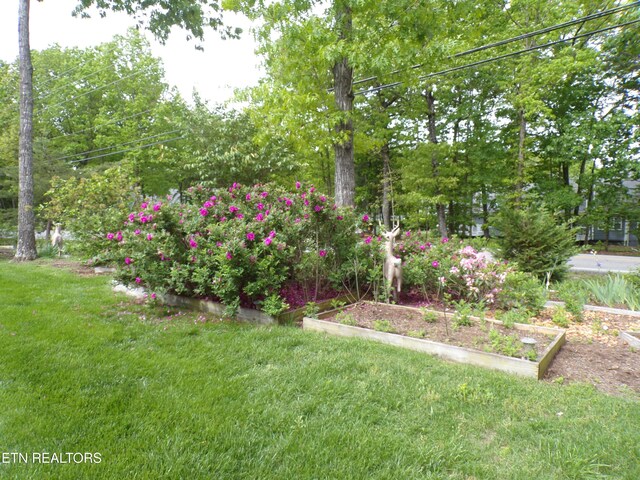 116 Huntington Dr, Fairfield Glade, TN 38558 - photo 35