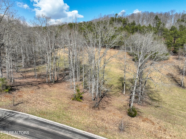 Springwater Run, Madisonville, TN 37354