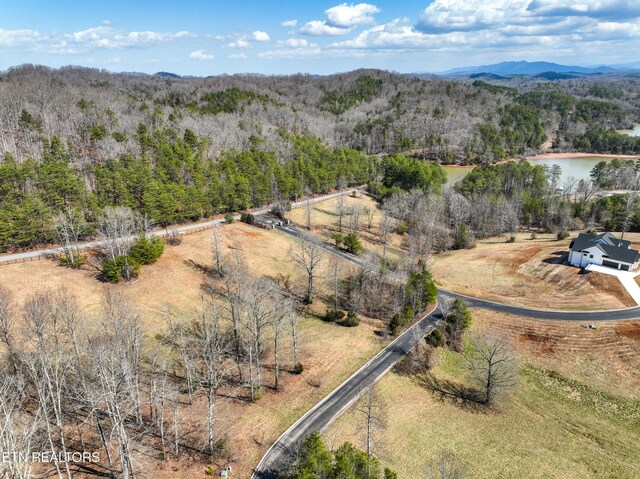 Springwater Run, Madisonville, TN 37354