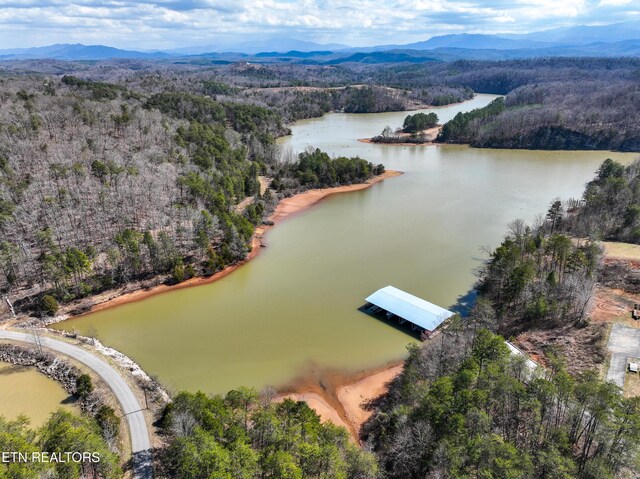 Springwater Run, Madisonville, TN 37354