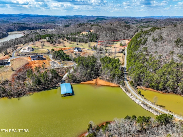 Springwater Run, Madisonville, TN 37354