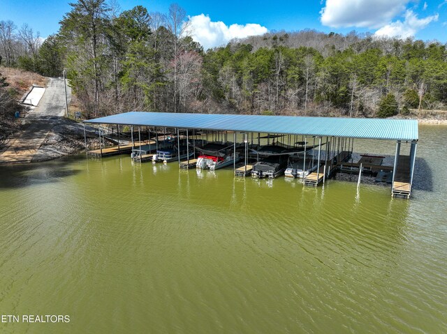 Springwater Run, Madisonville, TN 37354