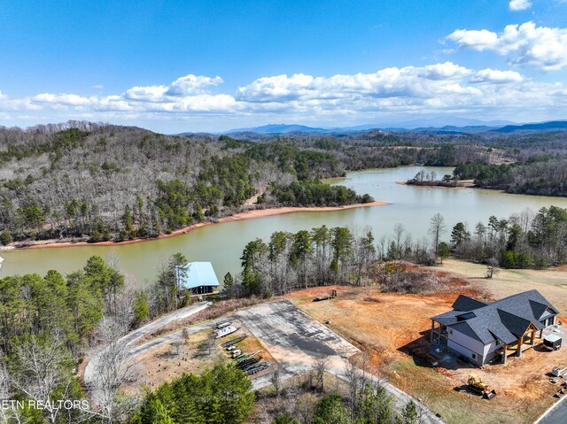 Springwater Run, Madisonville, TN 37354