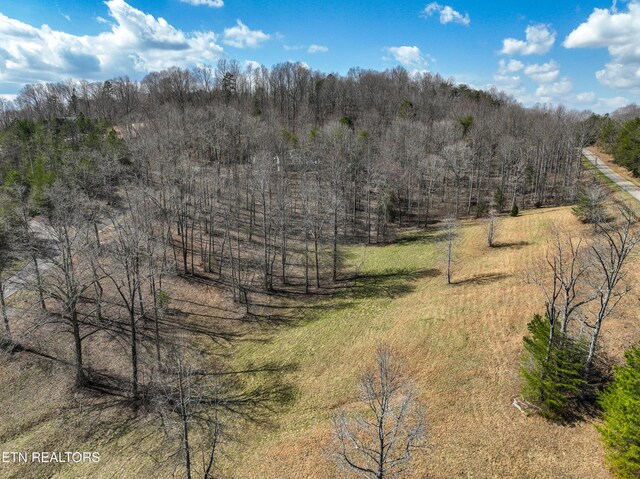 Springwater Run, Madisonville, TN 37354